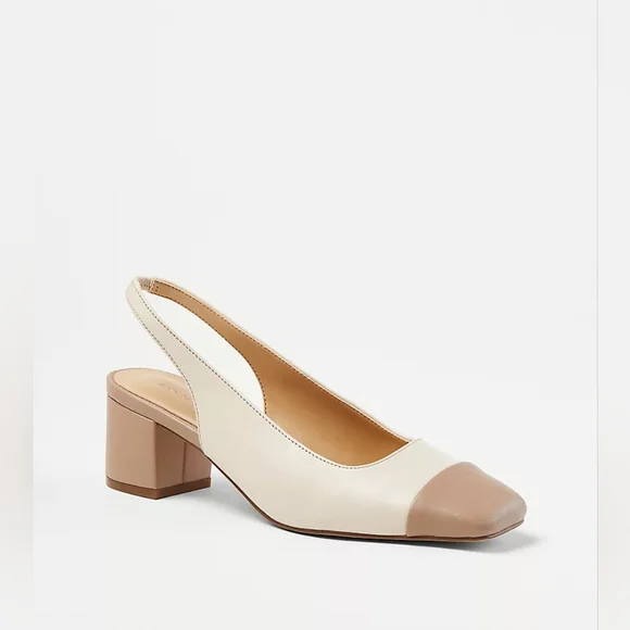 Ann Taylor cap toe block heel dress pumps - Picture 1 of 12